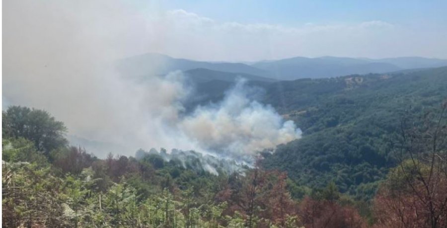 Zjarret/ 87 vatra zjarri të regjistruara në Kosovë, 8 prej tyre ende aktive