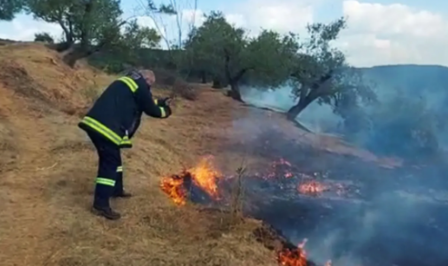 Tjetër vatër zjarri në Peqin, zjarrfikësit dhe banorët vënë në kontroll flakët