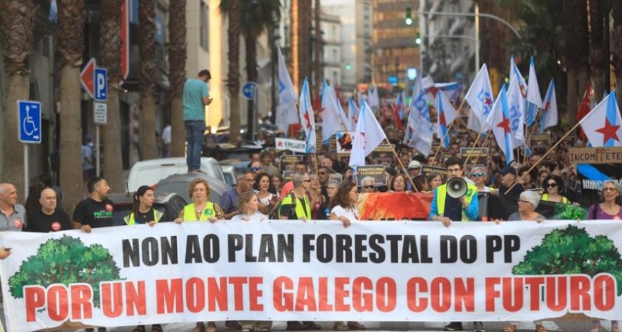 Protesta në Spanjë kundër menaxhimit të zjarreve