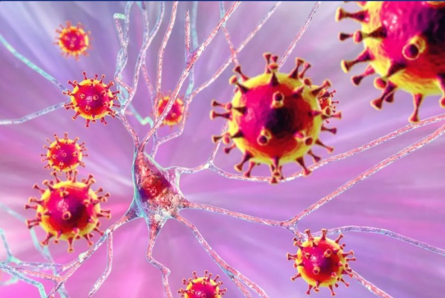 Pandemia e Covid dëmtoi shëndetin e trurit, madje edhe tek njerëzit e painfektuar