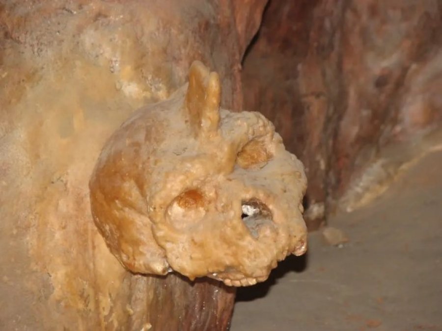 Kafka misterioze 300 mijë vjeçare e gjetur në murin e shpellës i habit shkencëtarët, nuk është as njerëzore dhe as...