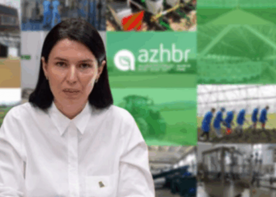 Si i zhvati AZHBR 2 milionë euro të fermerëve në Malësinë e Madhe, tokat e mbjella ishin vetëm në letër