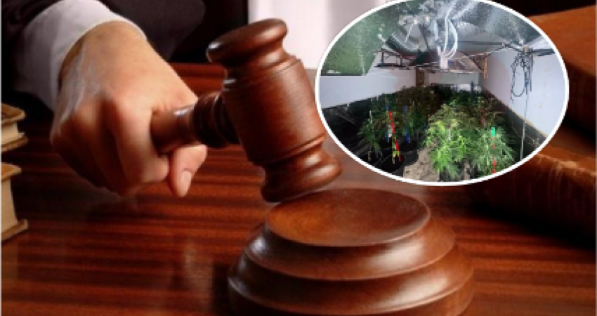 Aktakuzë ndaj nëntë personave për laborator të drogës në Prizren: Konfiskohen banesa, vetura e para
