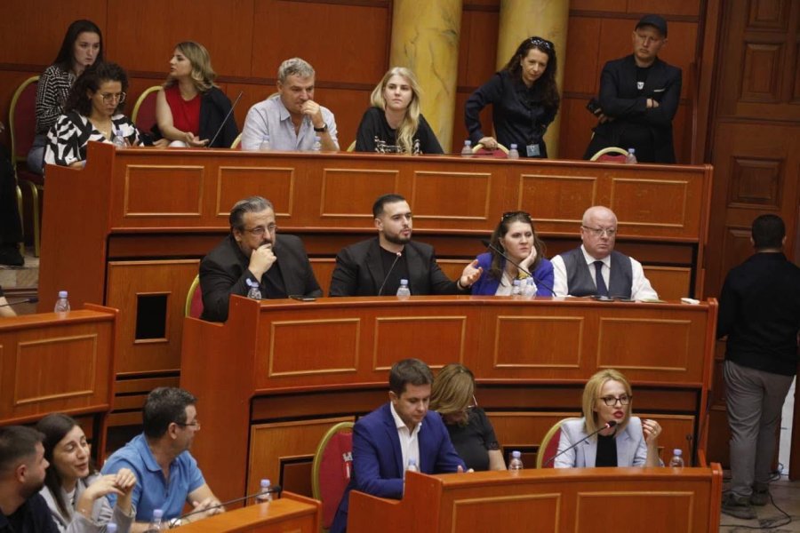 'Zëri i qytetarëve mungon dhe duhet dëgjuar'/ Zhulali: Ftojmë tiranasit në konsultime për një buxhet më transparent
