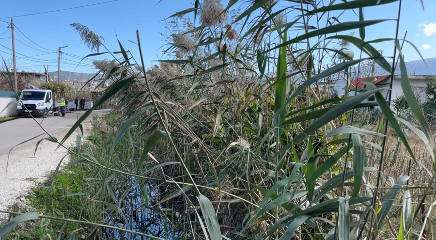 Vlorë/ Kanali i Naunkës, rrezik për shëndetin publik, banorët: Prej 3 vitesh pa pastrim, në dimër na hyn uji në shtëpi