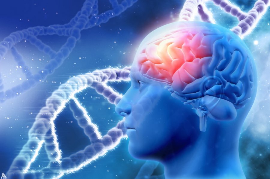 Shpresë për pacientët me Parkinson, terapia e re staminale rrit sinjalizimin e dopaminës në tru! Trajtimi inovativ tregon përmirësim dramatik 