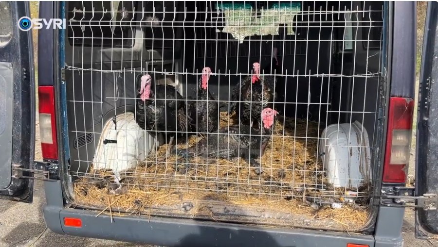 SYRI TV/ Zhvendosja e tregut, tregtarët e Vlorës të pakënaqur: Tregu larg qytetit, nuk ka blerës