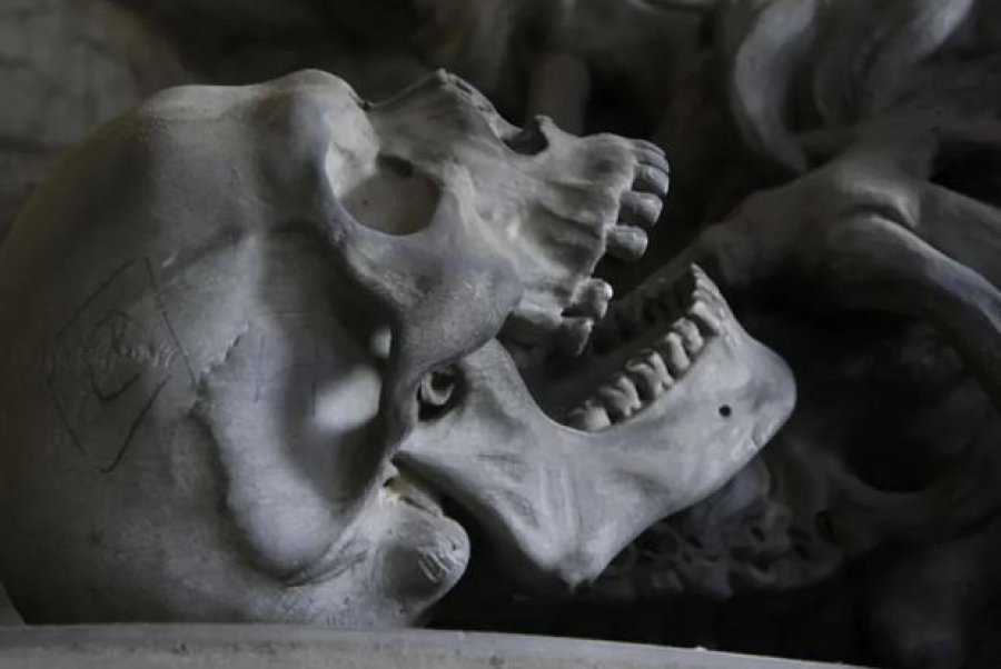 Studimi i ri përmbys gjithçka që dinim për origjinën e Homo sapiens: Afrika Jugore fsheh misterin e madh