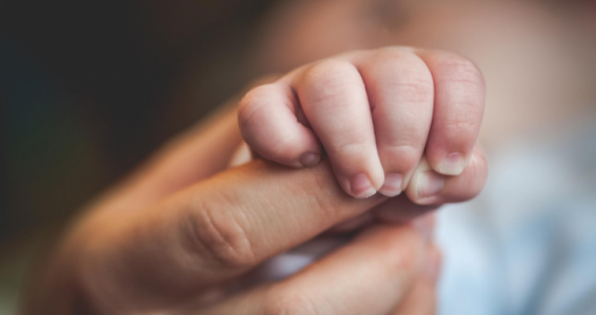 Gjatë këtij viti u braktisën 22 fëmijë, vetëm në nëntor u regjistruan katër raste