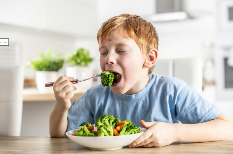Hulumtimet kanë zbuluar se si një dietë vegane ndikon në zhvillimin e fëmijëve