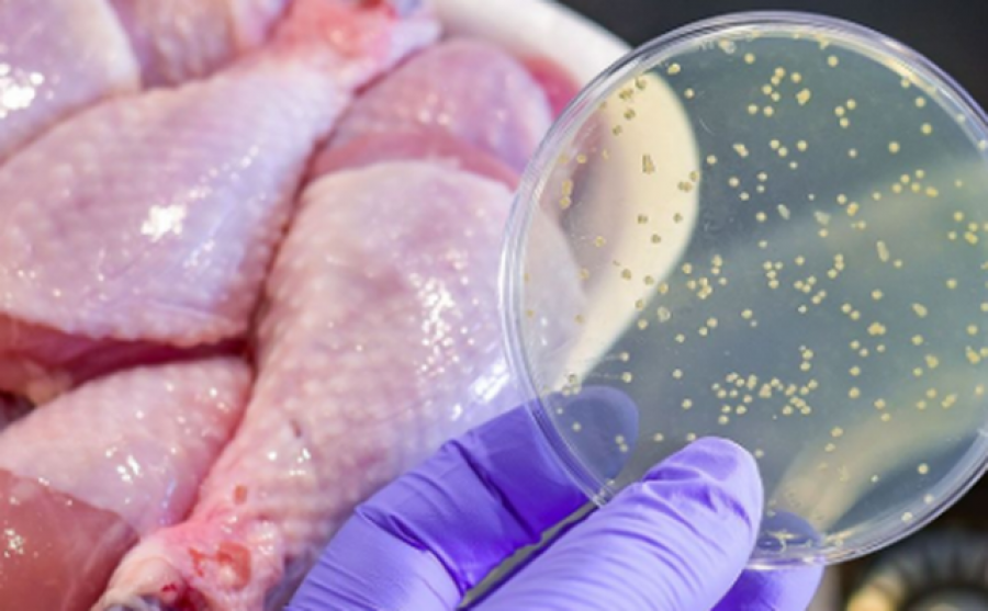 2,000 kg mish pule me Salmonelë/ / Agjencia e Ushqimit në Kosovë asgjeson produktet e infektuara