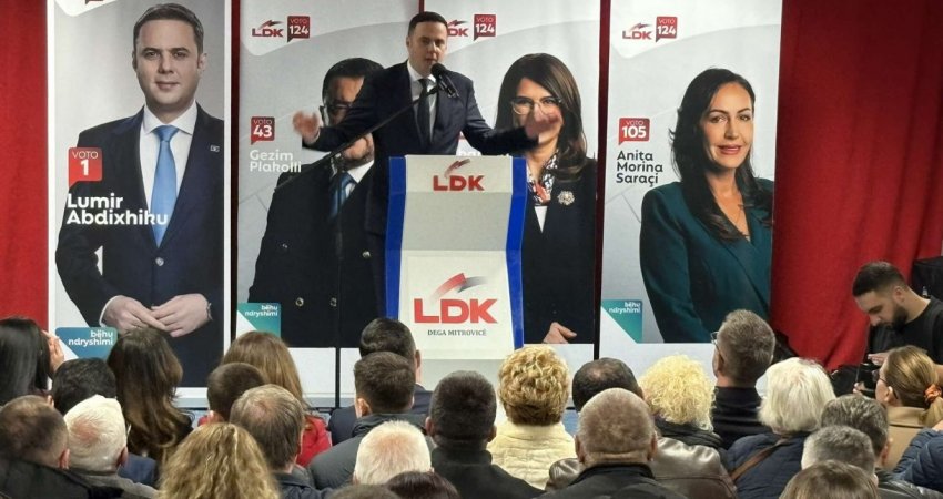 Abdixhiku: Thirrja dhe kushtrimi është i njëjtë, Kosova ka nevojë për LDK-në