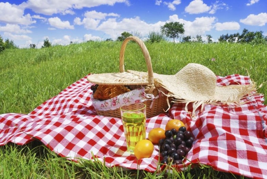 Pikniku nën rrezet e diellit ka më shumë përfitime se sa mendoni