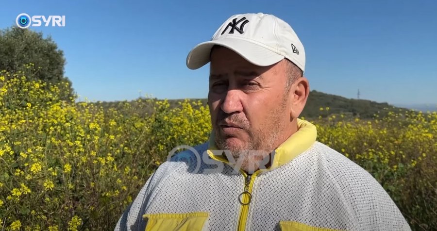 SYRI TV/ 'Pesta amerikane' vret kolonitë e bletëve, bletërritësit japin alarmin: Po zhduken qindra koshere