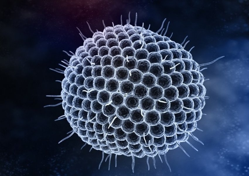 Një sëmundje infektive përfaqëson kërcënimin më të madh në vitin 2025