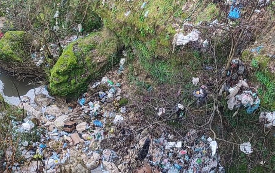Bashkia Gjirokastër lë në harresë qytetin e mbuluar nga plehrat/ Banorët: Situata është alarmante