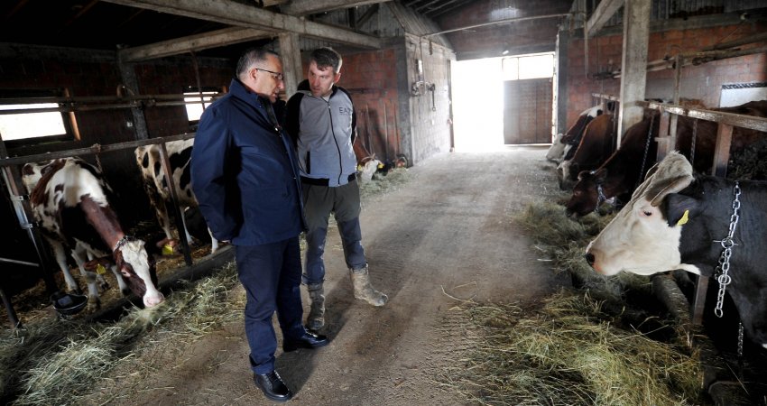 Hamza viziton një fermë në Keqekollë: Kosova duhet ta rrisë prodhimin vendor