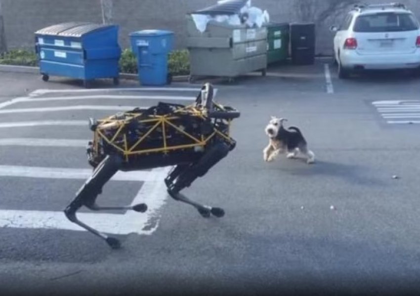 1 mijë robotë si kafshë shtëpiake për të moshuarit në SHBA