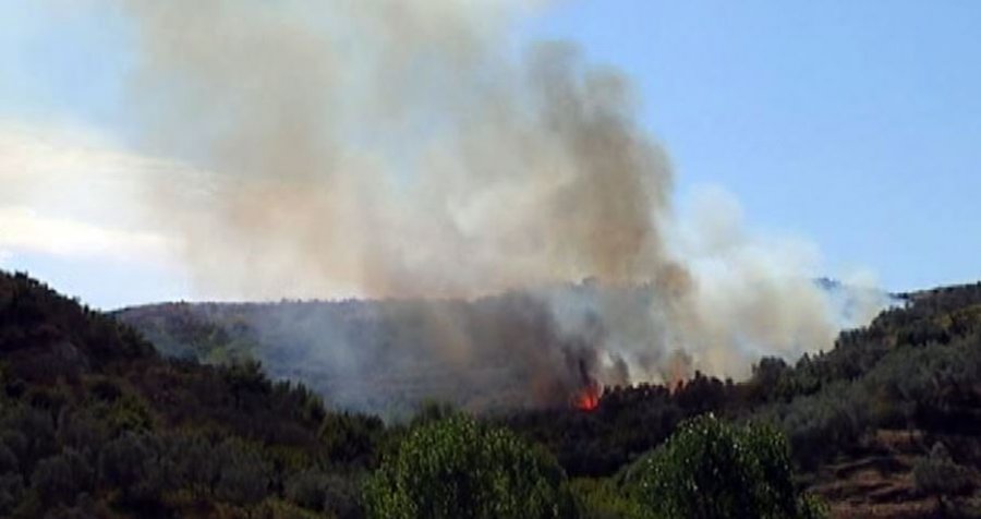 Zjarri masiv përfshin një sipërfaqe me ullinj në fshatin Balëz të Bradasheshit