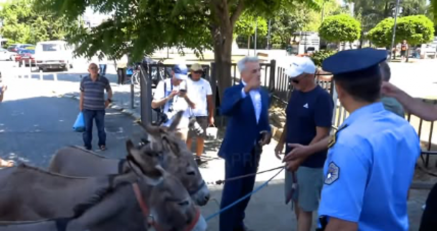 Avokati Arianit Koci shkon te Kuvendi me disa gomarë, në shenjë proteste