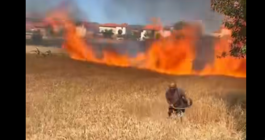 Një zjarr i madh përfshinë një arë me grurë në Kamenicë afër një shtëpie, bujku tenton ta shpëtojë pjesën e paprekur