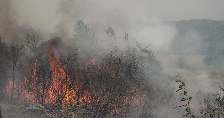 Përfshihen nga zjarri disa zona të fshatit Temeqinë dhe Ngucat të Malishevës