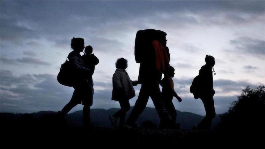 Të paktën 774 fëmijë refugjatë të pashoqëruar u zhdukën në Belgjikë në vitin 2024