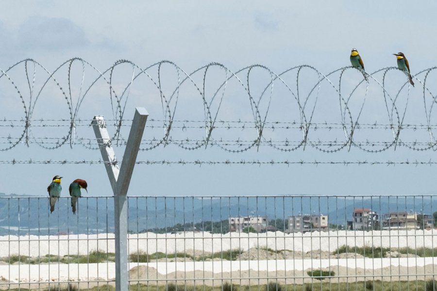 PE kundër Aeroportit të Vlorës dhe HEC-it në Skavicë: Projekte që dëmtojnë mjedisin