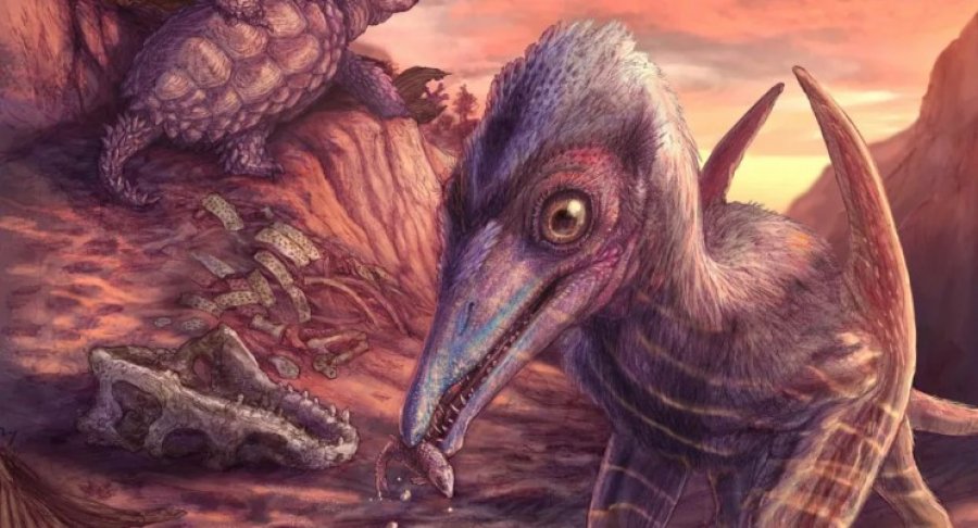 Zbulohen specie zvarranikësh fluturues 200 milionë vjeçarë