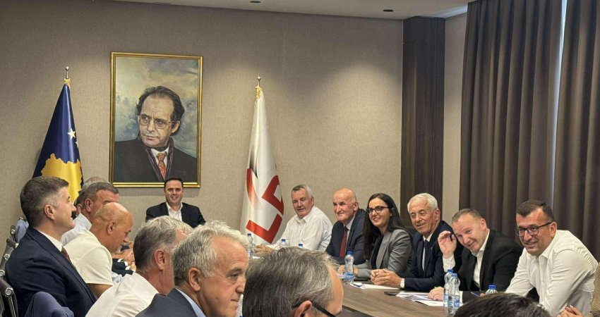 Nis mbledhja e kryesisë së LDK-së për zyrtarizimin e kandidatëve për kryetarë komunash
