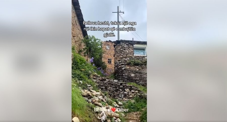 Berisha ndan videon: Shkretimi i fshatit shqiptar në regjimin e Ramaduros