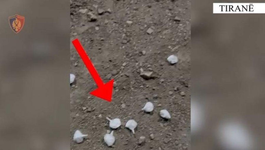 Shpërndante kokainë në doza, arrestohet 26-vjeçari në Kamëz