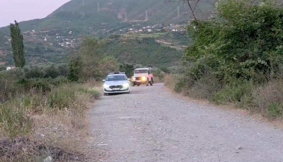 ‘Tragjedi e madhe...’– Flet i afërmi i dy vëllezërve të mbytur në Shkumbin: I gjeti roja i hidrocentralit tek një gropë...