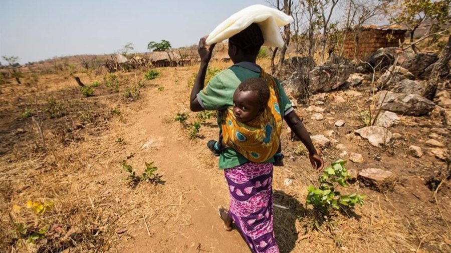 Trefishohet numri i vdekjeve nga Malaria në Zimbabve