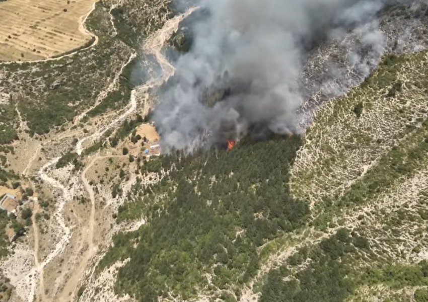 Reuters: Imazhet termike të dronit tregojnë përhapjen e zjarreve në Shqipëri