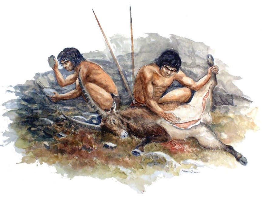 Shije të pazakonta! ‘Gostia’ e Neandertalëve ishin… krimbat