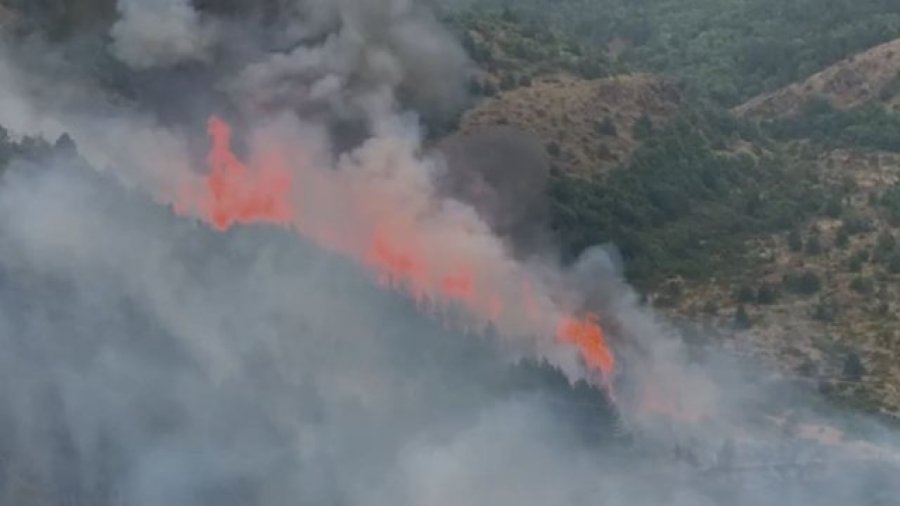 Zjarret ‘pushtojnë’ Bulqizën dhe Matin, zjarrfikësit nuk ndërhyjnë për shkak të flakëve shumë të mëdha 