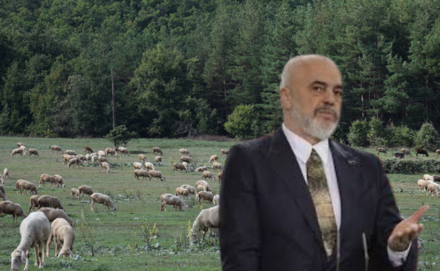 Sëmundja e rrezikshme po kërcënon banorët dhe bagëtitë, qeveria hesht