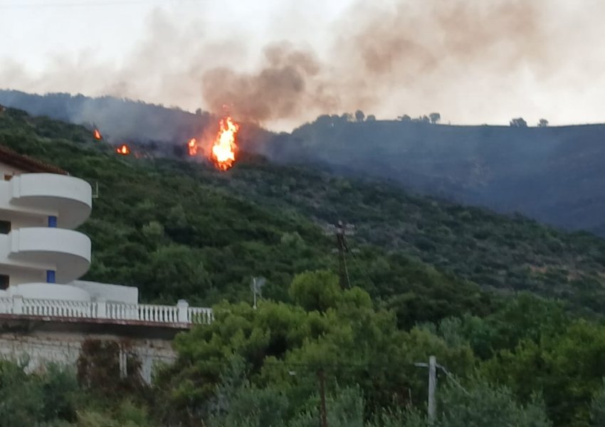 Zjarret po shkrumbojnë kodrat e Lukovës, ndërhyrje nga ajri! Shikoni videon 