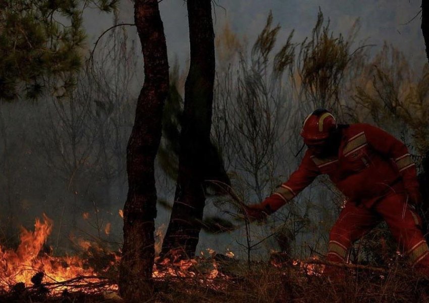 Vihen nën kontroll zjarret në fshatin Shalë, aktualisht vetëm një vatër aktive në Konispol