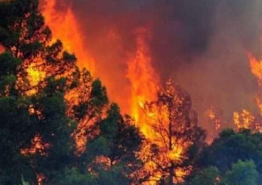 Zjarret/ Portugalia në alarm, disa fshatra kërcënohen nga flakët