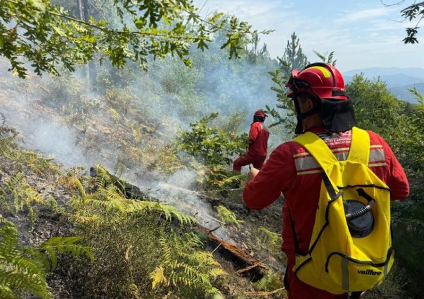 Gjatë 24 orëve të fundit janë evidentuar 52 vatra zjarri, ndër të cilat 2 janë ende aktive, 4 vatra janë në monitorim 