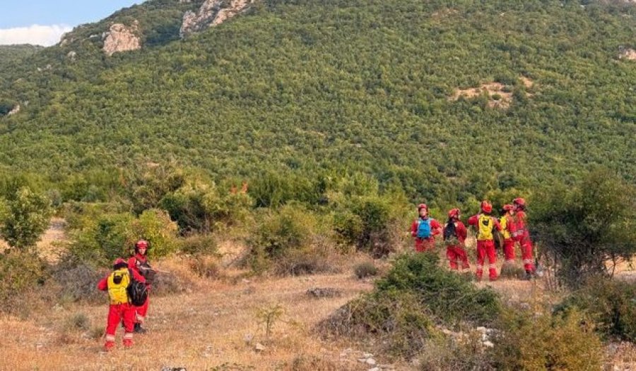 Shuhet vatra e zjarrit në Parkun Kombëtar të Prespës, normalizohet situata në gjithë qarkun e Korçës
