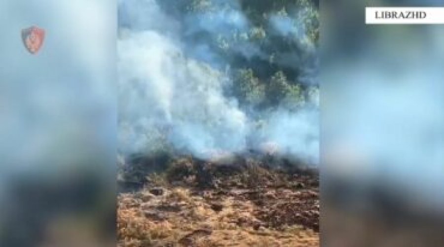 Librazhd/ I moshuari ndez zjarr në pyllin e Xhyrës, digjet sipërfaqja me shkurre dhe pemë