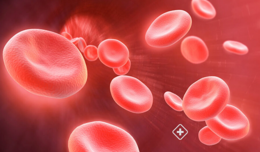 Shqipëri/ Rritet anemia në popullatë