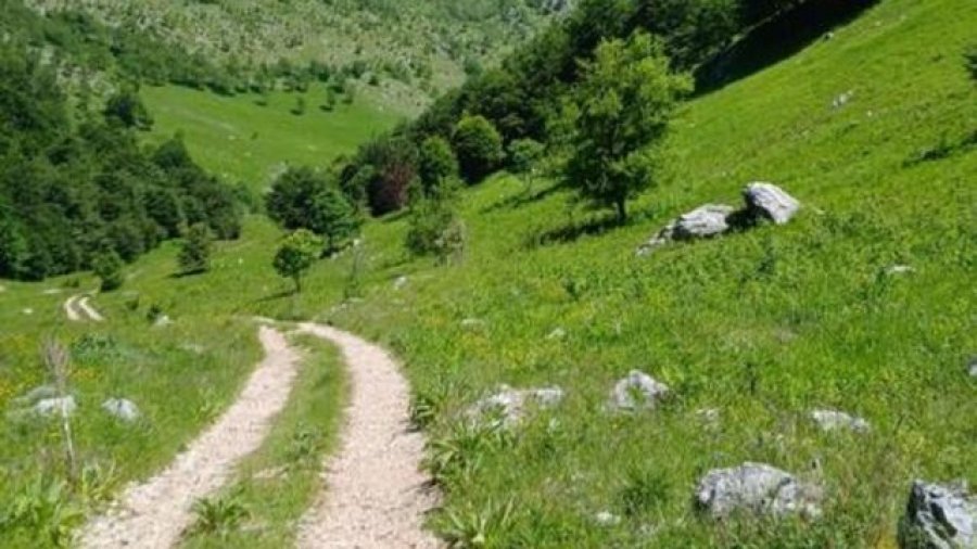 Shfaqet murtaja në Bulqizë, ngordhin 150 bagëti në Martanesh