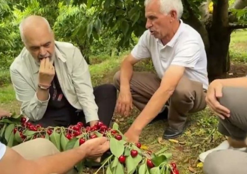 Qeveria Rama favorizoi importet kundrejt prodhimit vendas - agropërpunimi në gjendje të mjeruar krahasuar me rajonin