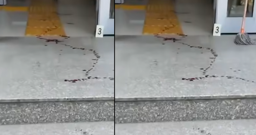 Sulm brutal në oborrin e Gjykatës në Suharekë: Viktima e një rasti e goditi brutalisht palën tjetër ditën e seancës 