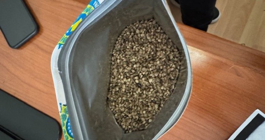650 gramë fara të dyshuara kanabisi kapen në postë, pako ishte nisur nga Gjermania – arrestohet një person në Prishtinë