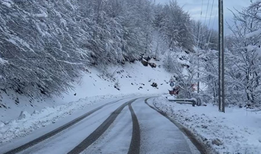 Reshjet e dëborës dhe temperaturat e ulëta shkaktojnë dëme të mëdha në bujqësinë e Korçës